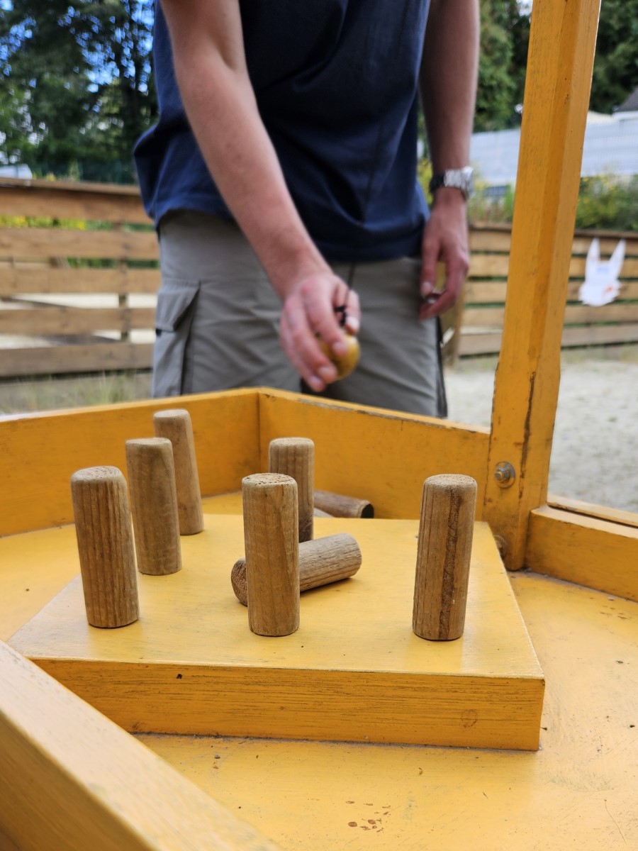 Plusieurs jeux d'adresse sont à disposition sur le parc.