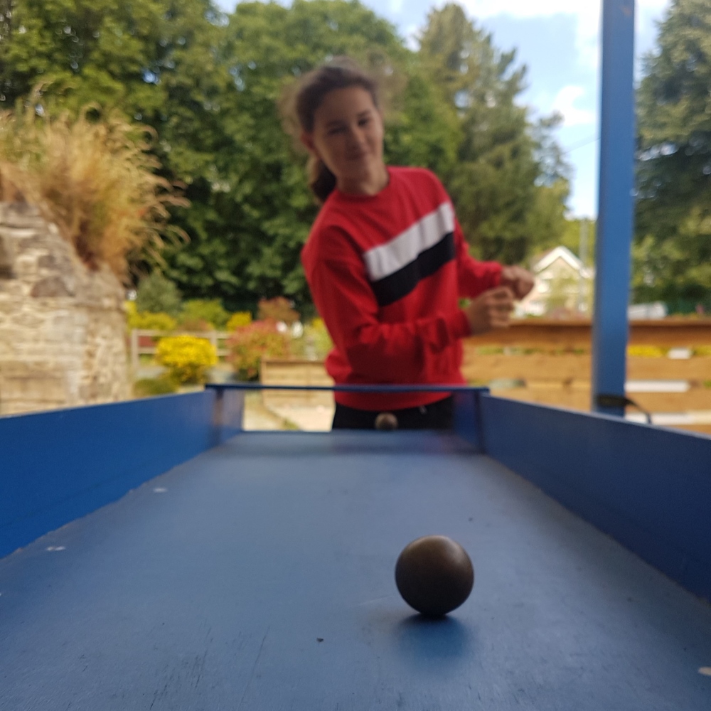 Certains jeux se jouent en équipe, d'autres en solitaires.